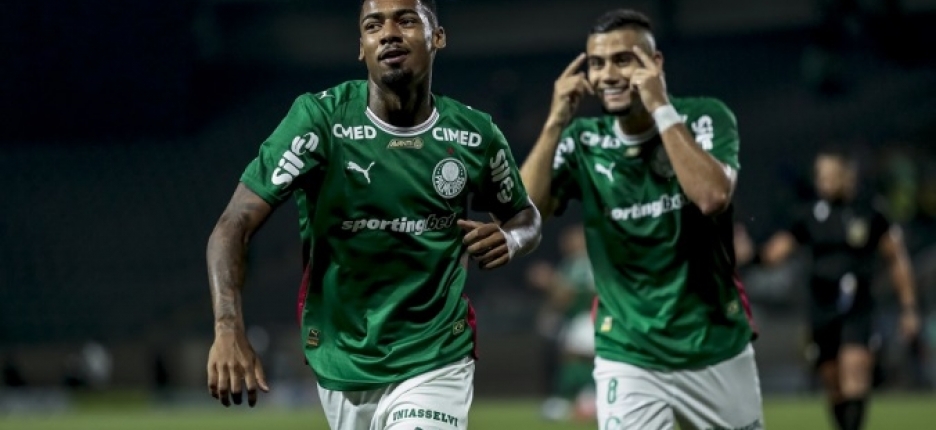 Palmeiras volta a vencer o Novorizontino e conquista o Paulist�o
